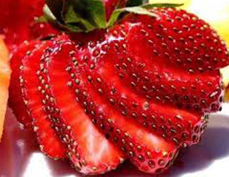 Саджанці полуниці полуниця усмішка strawberry smile.