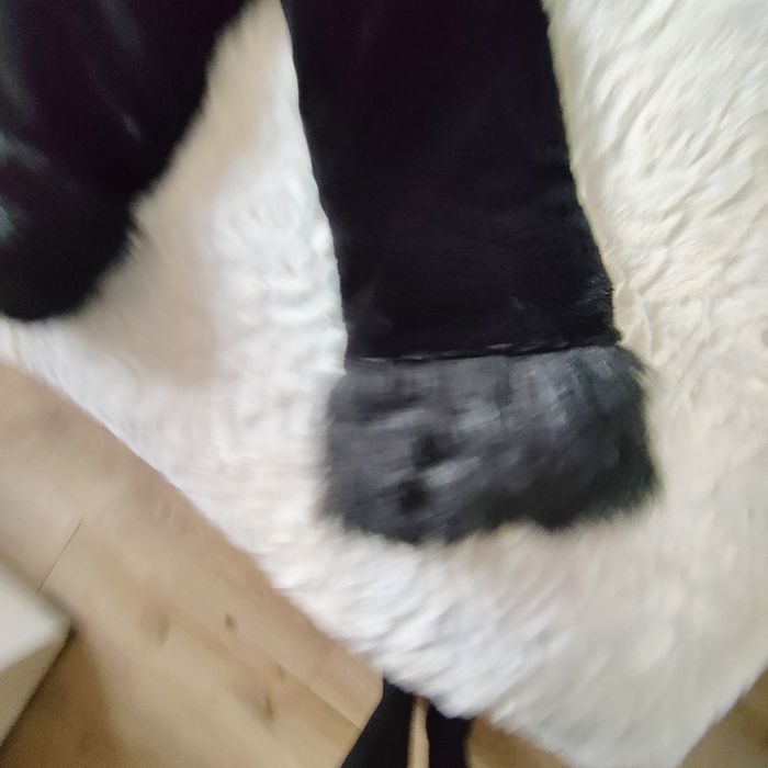 Futerko koloru czarnego