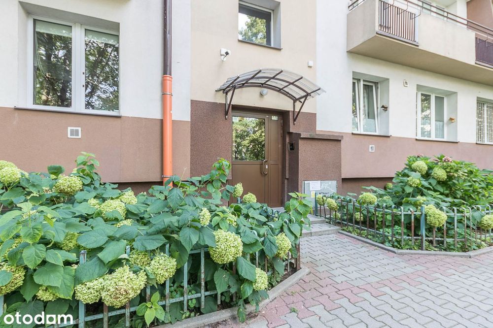 Słoneczne z widokiem na drzewa | balkon | piwnica