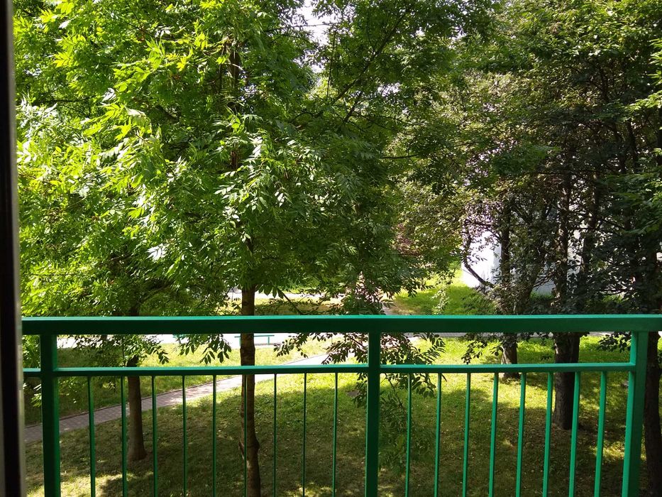 Zdjęcie 8