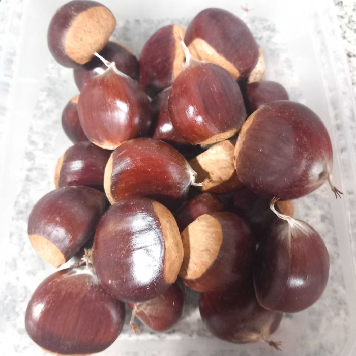 Vendem-se castanhas