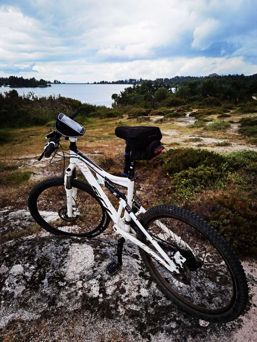 Bicicleta Scrapper SCR