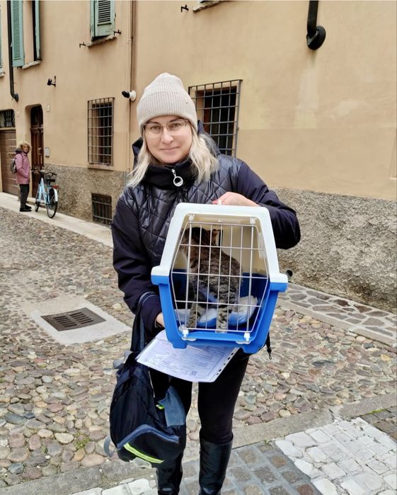 Перевезення тварин закордон. Виїзд кожного тижня! Доставка тварин.
