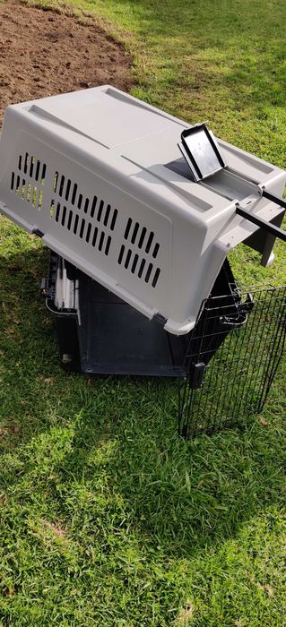 Caixa Transporte Animais XL