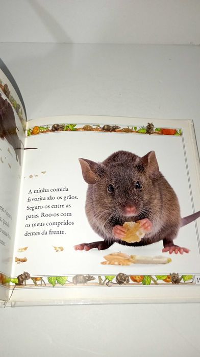 Rato - Vejam coo eles crescem