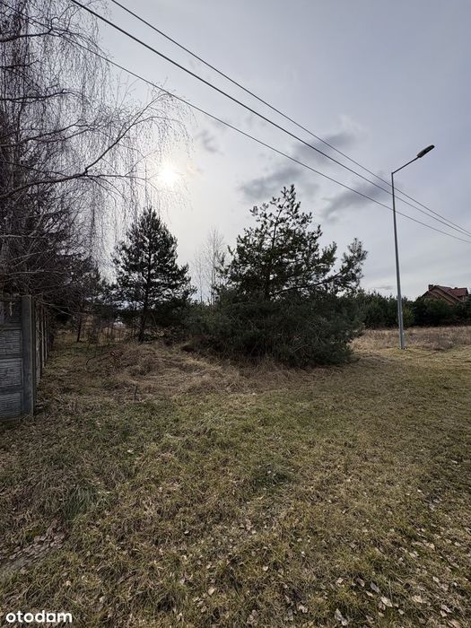 Działka budowlana Słonecznikowa 11 Pniewy