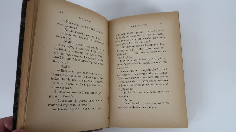 Os Filhos de Ignez de Castro: Romance Historico (1905)