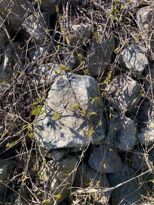 Камінь , бут , Бутовий камінь