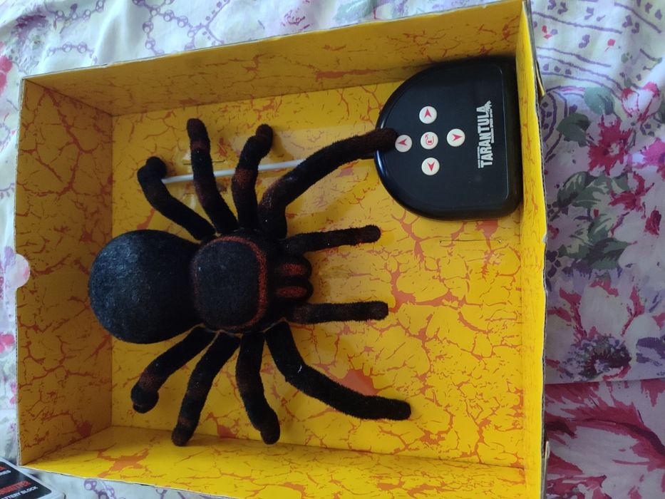 Паук на радиоуправлении
