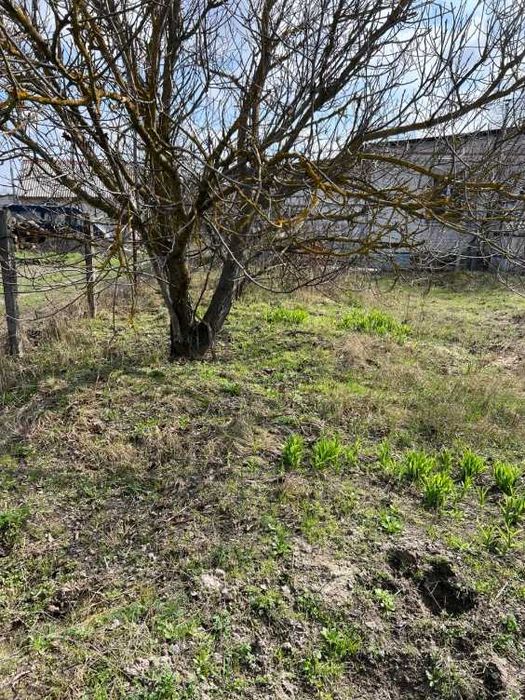 Пропоную до продажу Дачу
