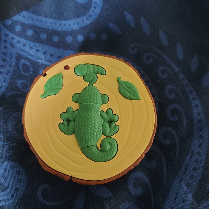 Jaszczurka na pilota