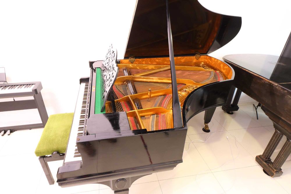Piano de Cauda IBACH 180cm (Meia Cauda) — Construção Alemã — Revisto