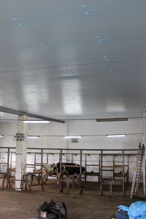 STYRODUR XPS AGRO Ocieplenie Docieplenie Izolacja Dachu Kurnika Obory