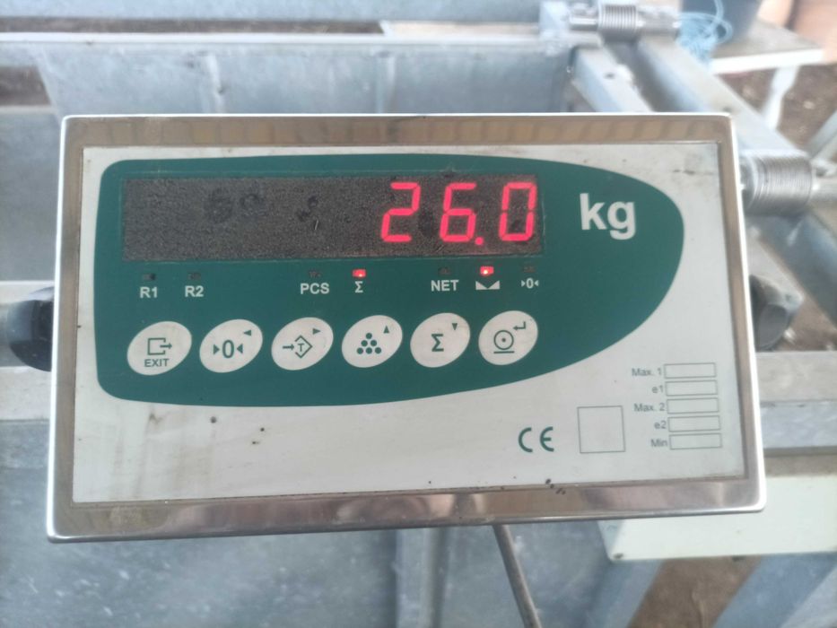 Balança móvel analógica para ovinos / caprinos