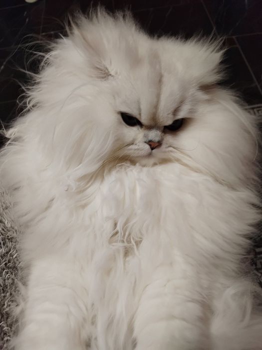 *?!€$£!?£$€*€$£*