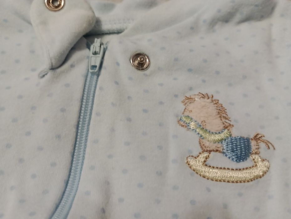 Pajacyk jasnoniebieski