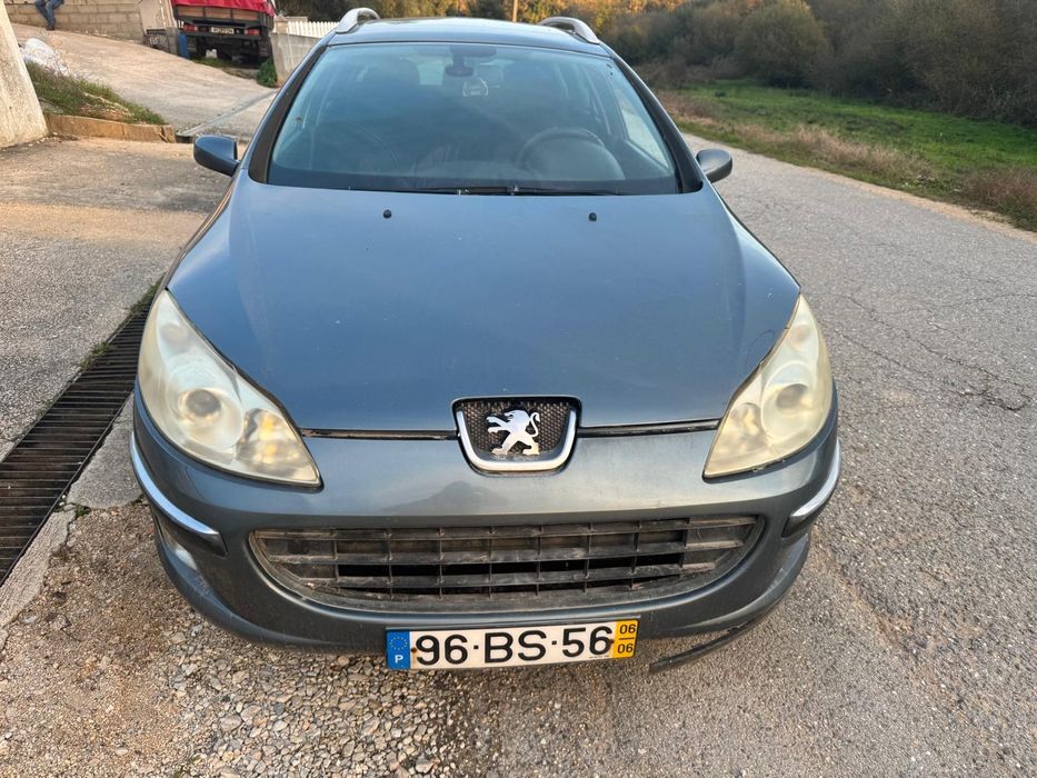 Peugeot 407 Sw ( parada a 2 anos )