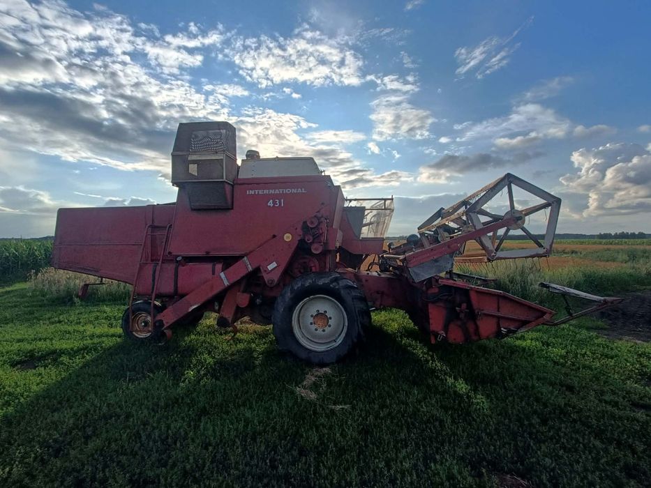Case IH International 431  International 431 / 1978 r. / 3m heder