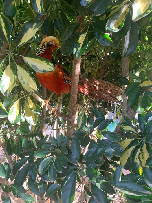 Quinta do Candeeira - Aluguer de Espaço para Eventos