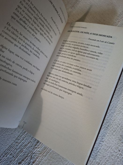 Poesia de Maria do Sameiro Barroso