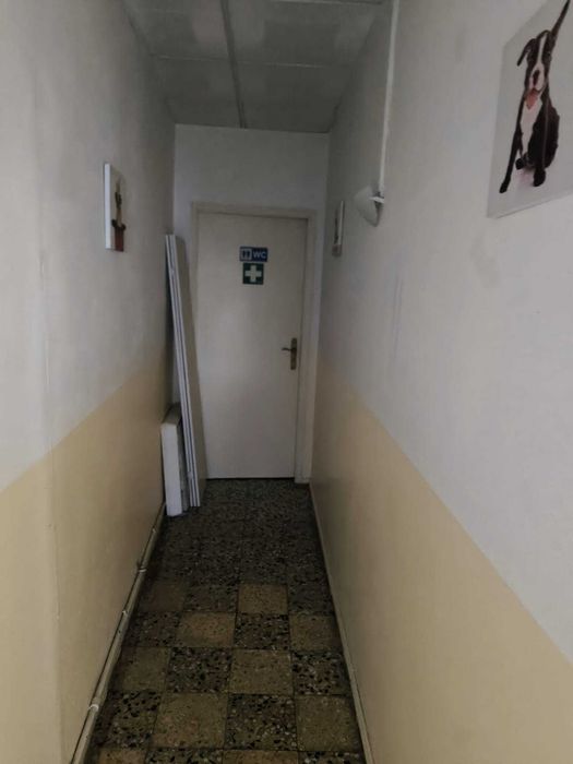 Trespasse Consultório Veterinário em Figueira de Castelo Rodrigo