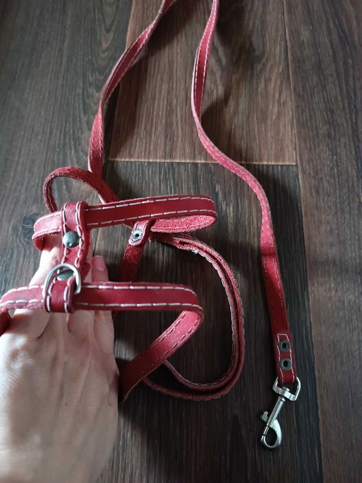 Шлейка та повідок для песиків, шкіряний