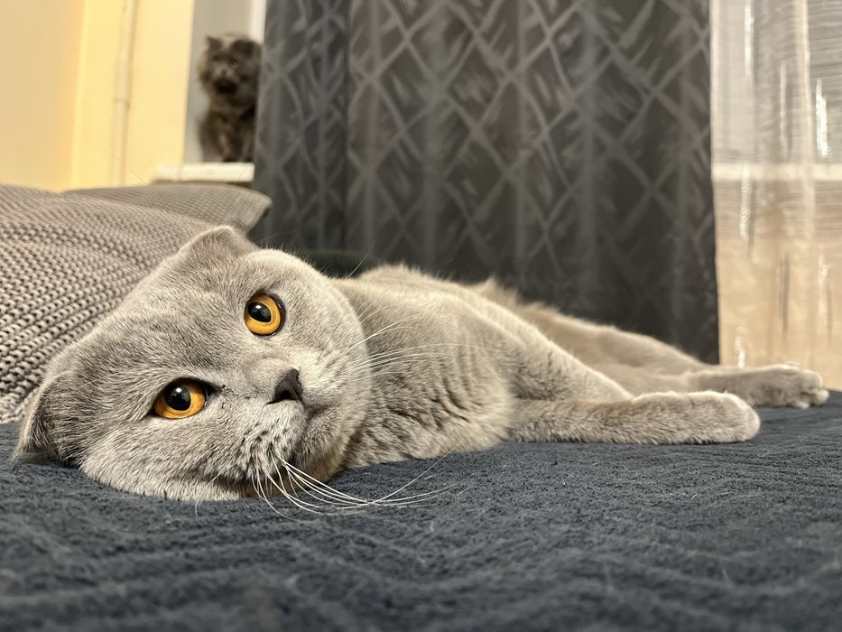 Запрошуємо на вʼязку