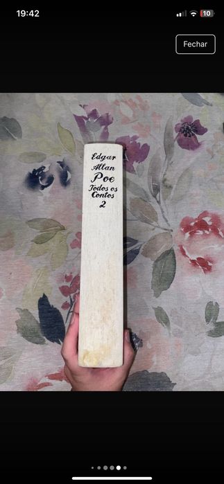 Todos os Contos 2, Edgar Allan Poe