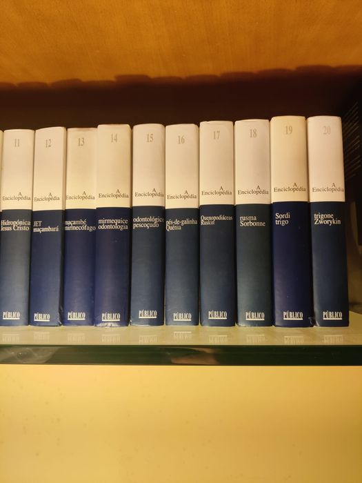 Coleção “A Enciclopédia” (20 volumes) + 2 guias temáticos – bom estado