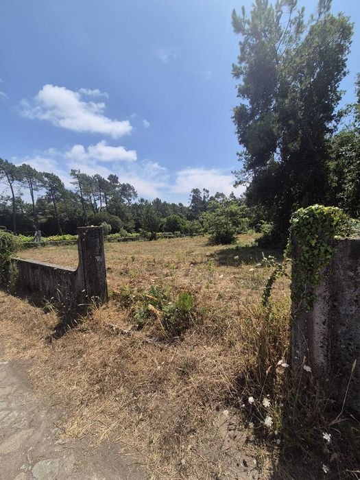Vendo    Terreno Agrícola