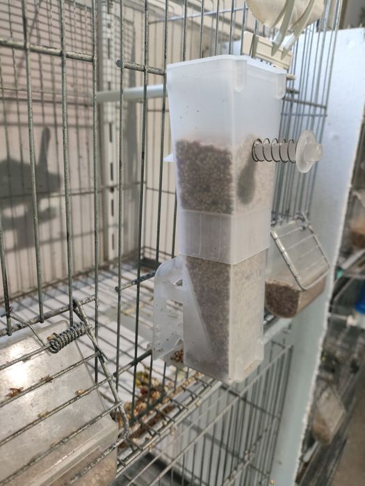 Comedouros pássaros