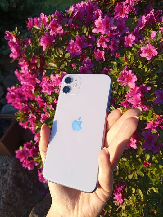 iPhone 11 z etui Guess