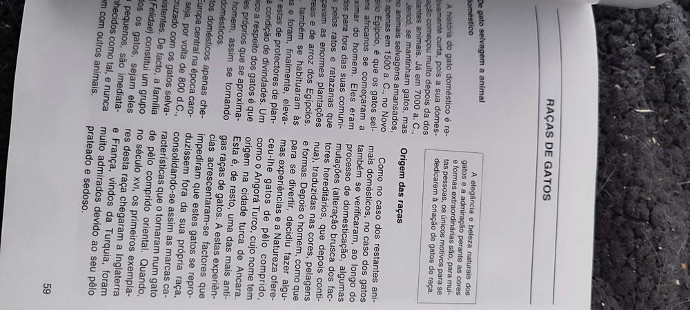 Detetive de Gatos com oferta do Novo Guia dos Gatos