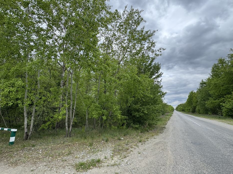 Земельна ділянка 1 га поруч з великим лісом!!!с.Здвижівка.