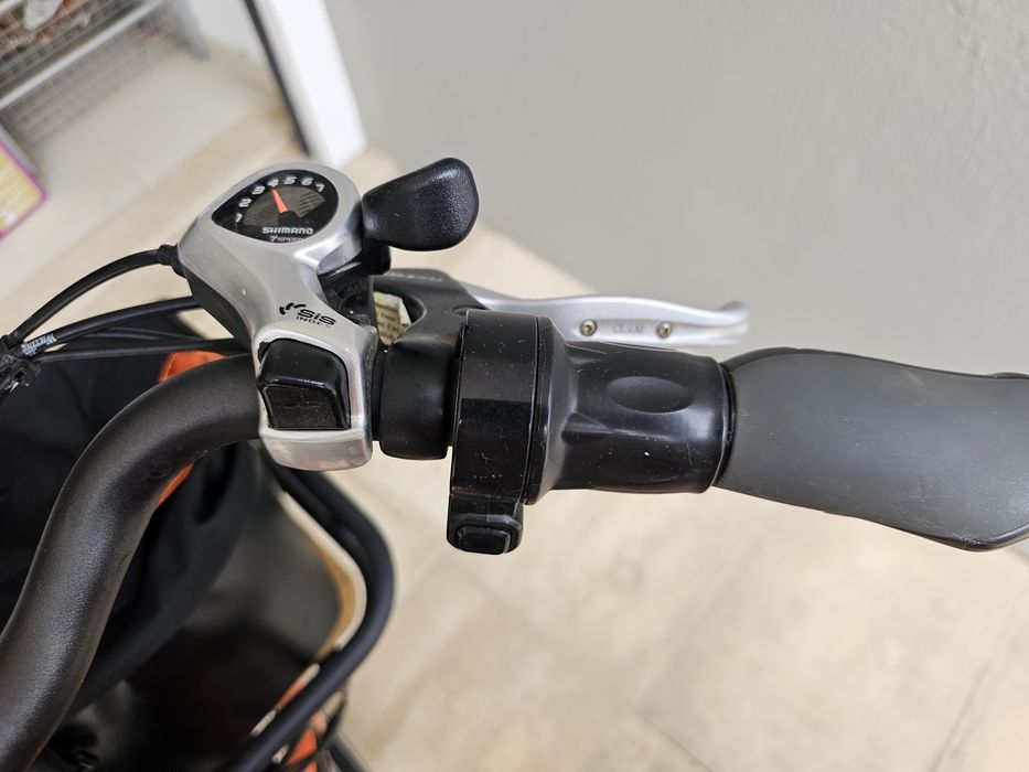 Bicicleta eléctrica carga longtail RAD