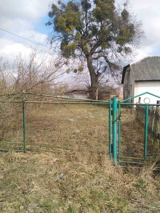 житловий будинок та земельна ділянка 25 сот.,