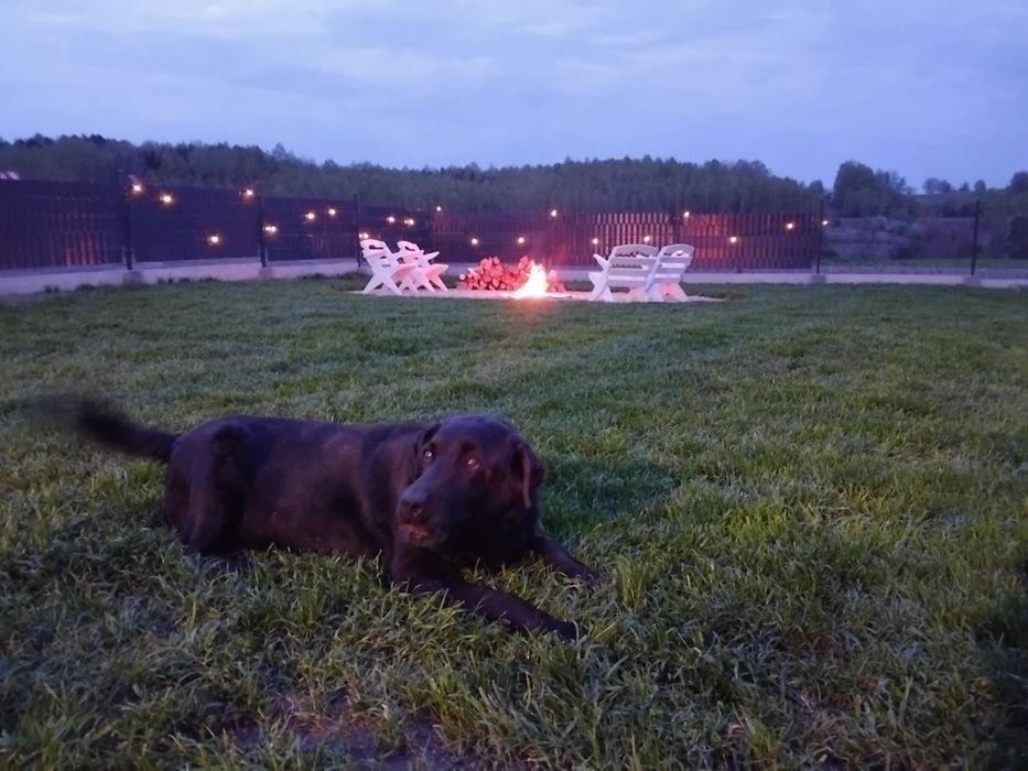 Nowy domek , balia,  wolny , jeziora , las, cisza spokój