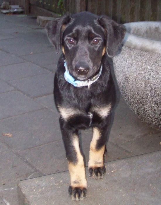 Wierna i mądra Ali 10 lat