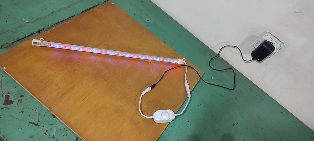 Фітосвітильник з регулюванням яскравості