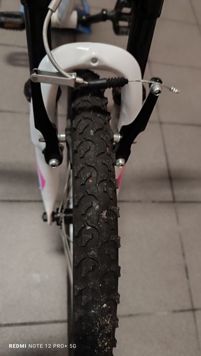 Bicicleta Neon roda 20