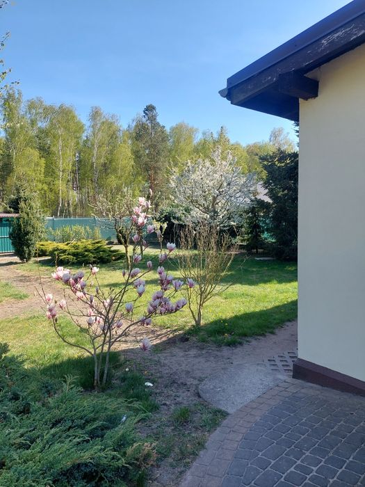 Sprzedam dom w Głogowie - Widok 4