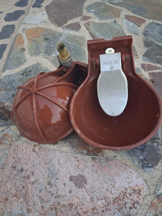 Bebedouro automático