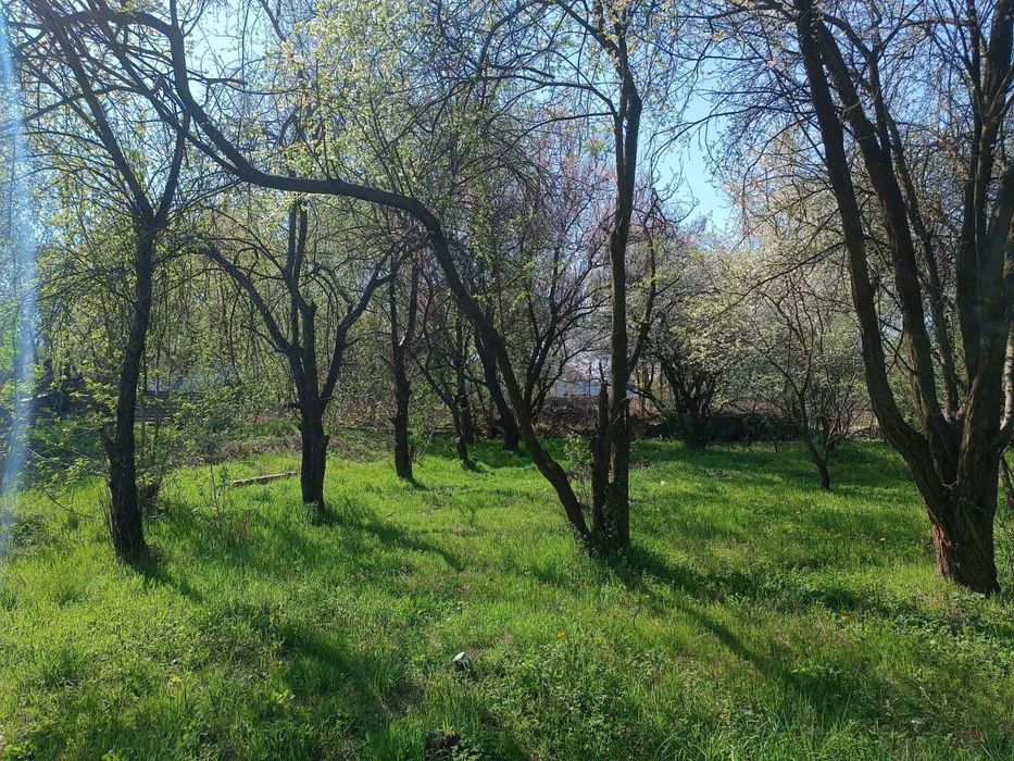 Воскресенские сады 11 Сот. Выход к Озеру.