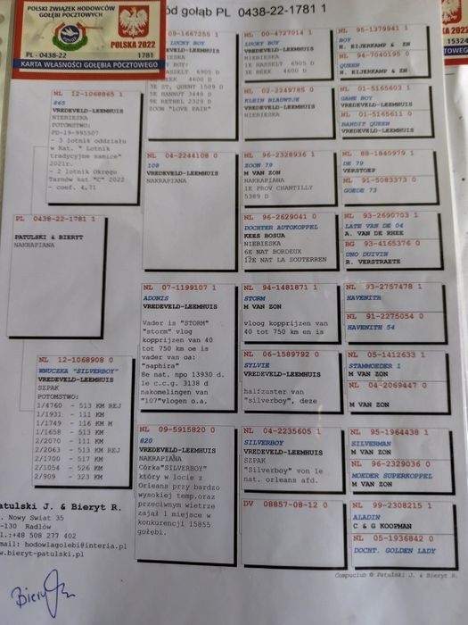 Gołębie pocztowe  oryg.Patulski i Bieryt