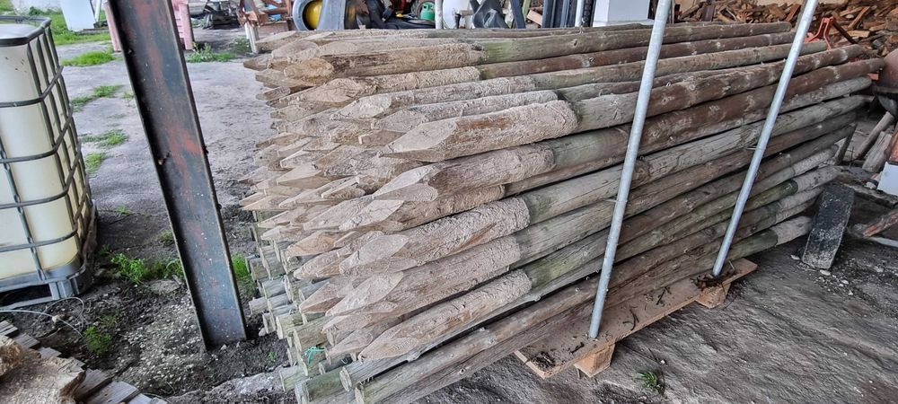 Paus tratados para plantação de pomar