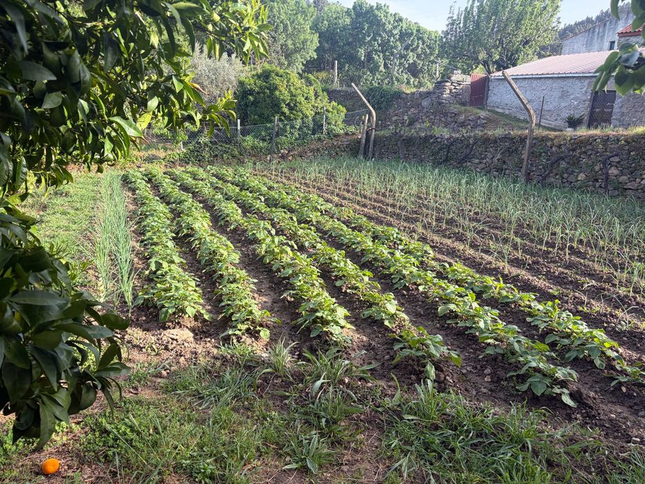 Terreno Ubano/Rural em Meireles, Vilas Boas