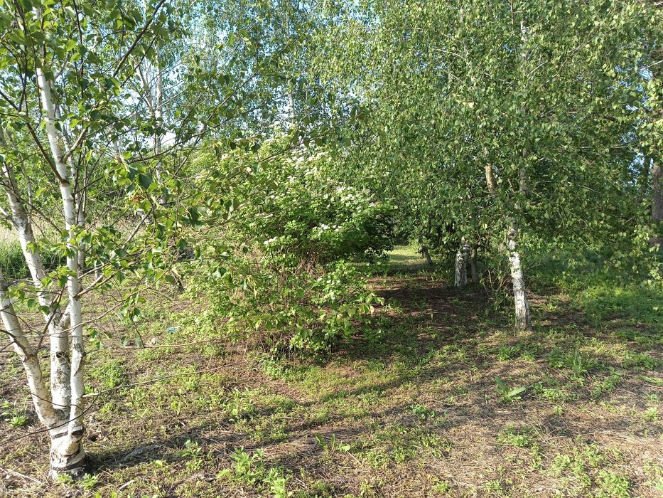 Васищево дом ,  центральная дорога