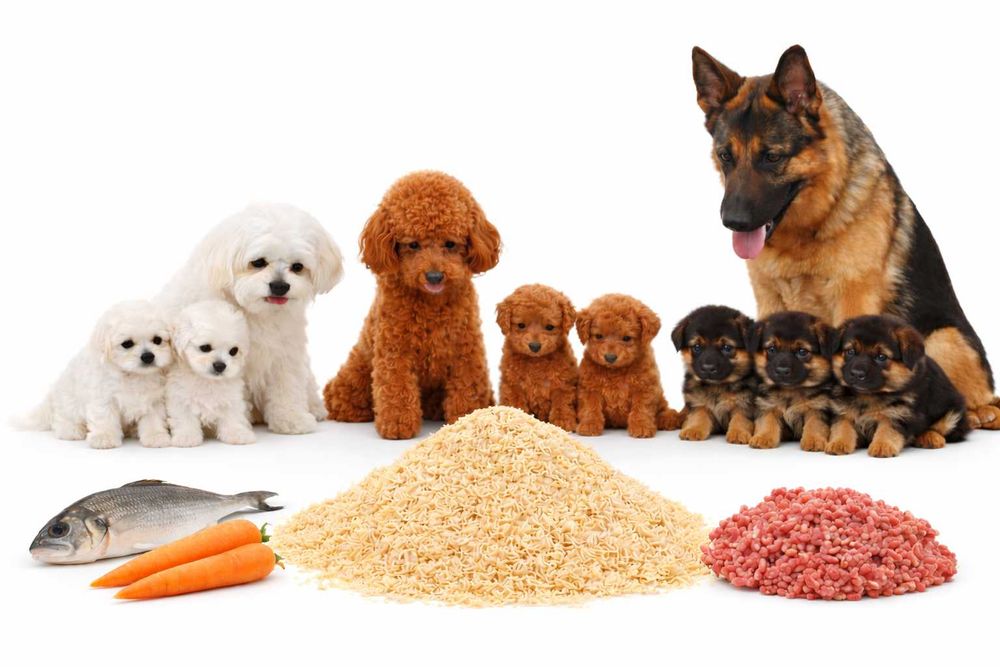 PROMOCJA Makaron Instant dla Psa i Kota 30kg Czysty Błyskawiczny Karma