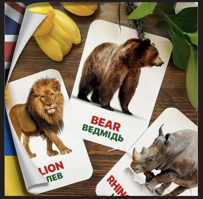 Картки Домана, нові, 13 тем, якісний картон, анг-укр