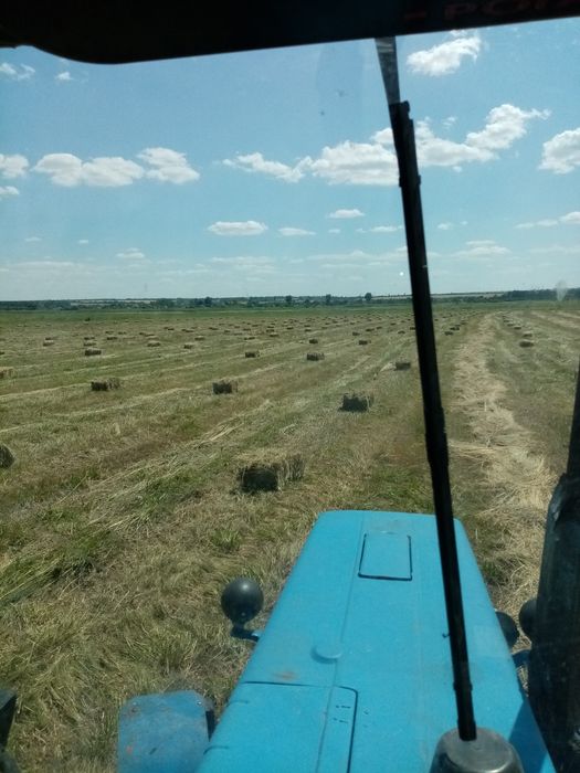 Продам сено луговое